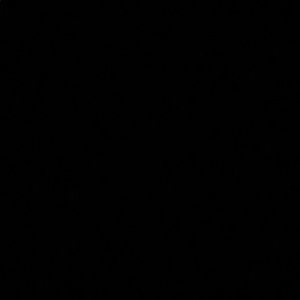 Meet your Posher, Rodrigo